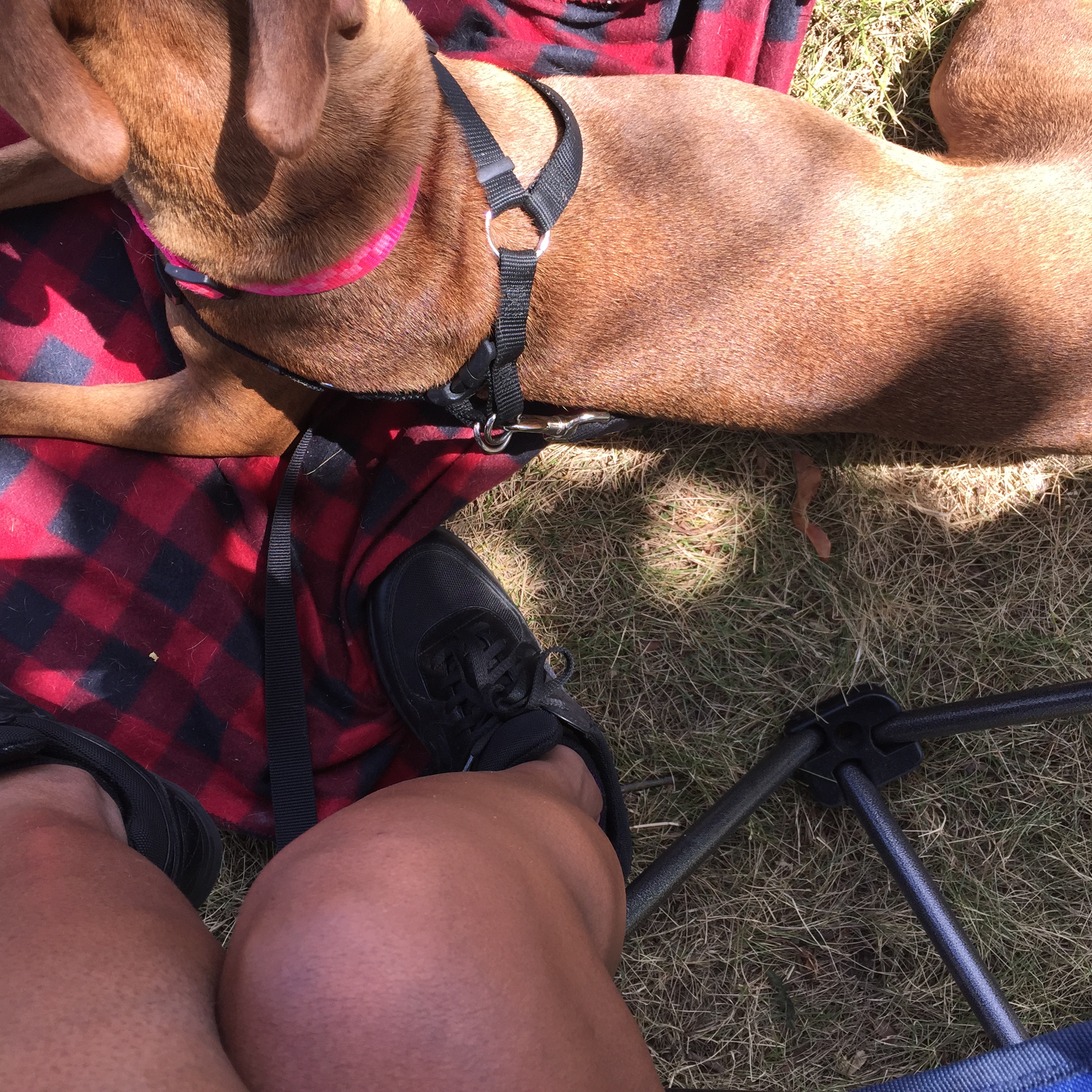 Photo Aug 01, 12 22 36 PM.jpg