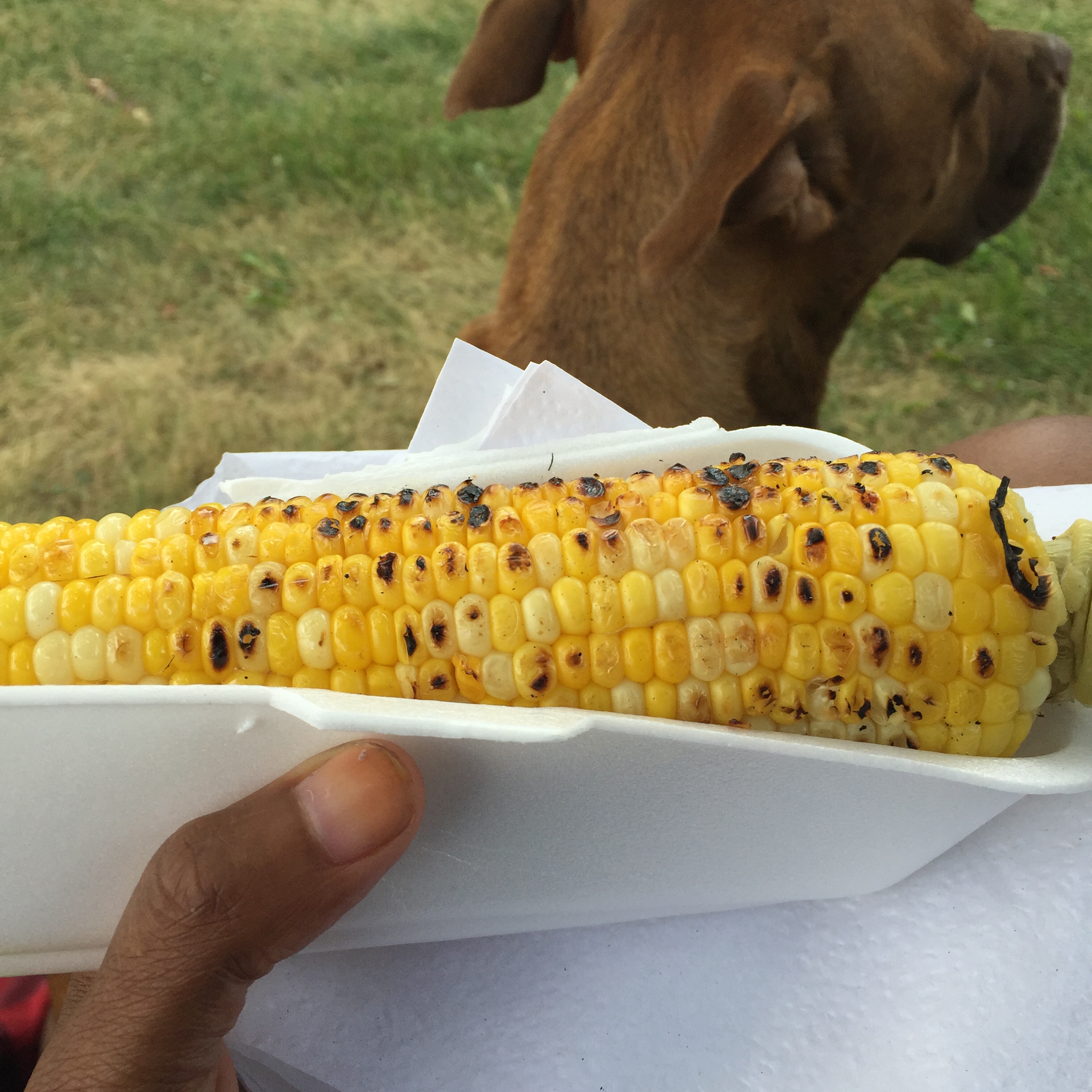 Photo Aug 01, 1 44 01 PM.jpg