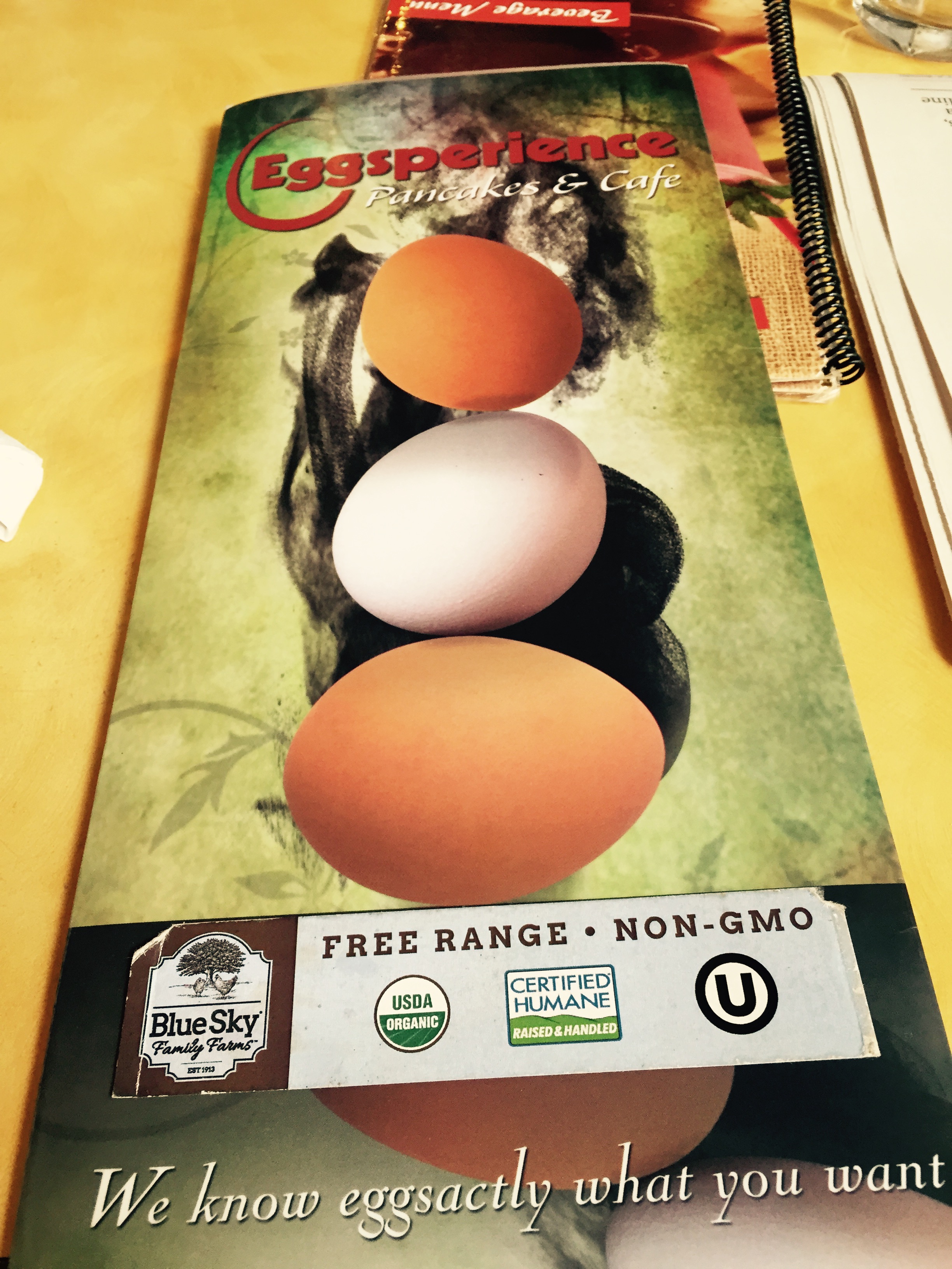 Photo Aug 27, 11 44 37 AM.jpg