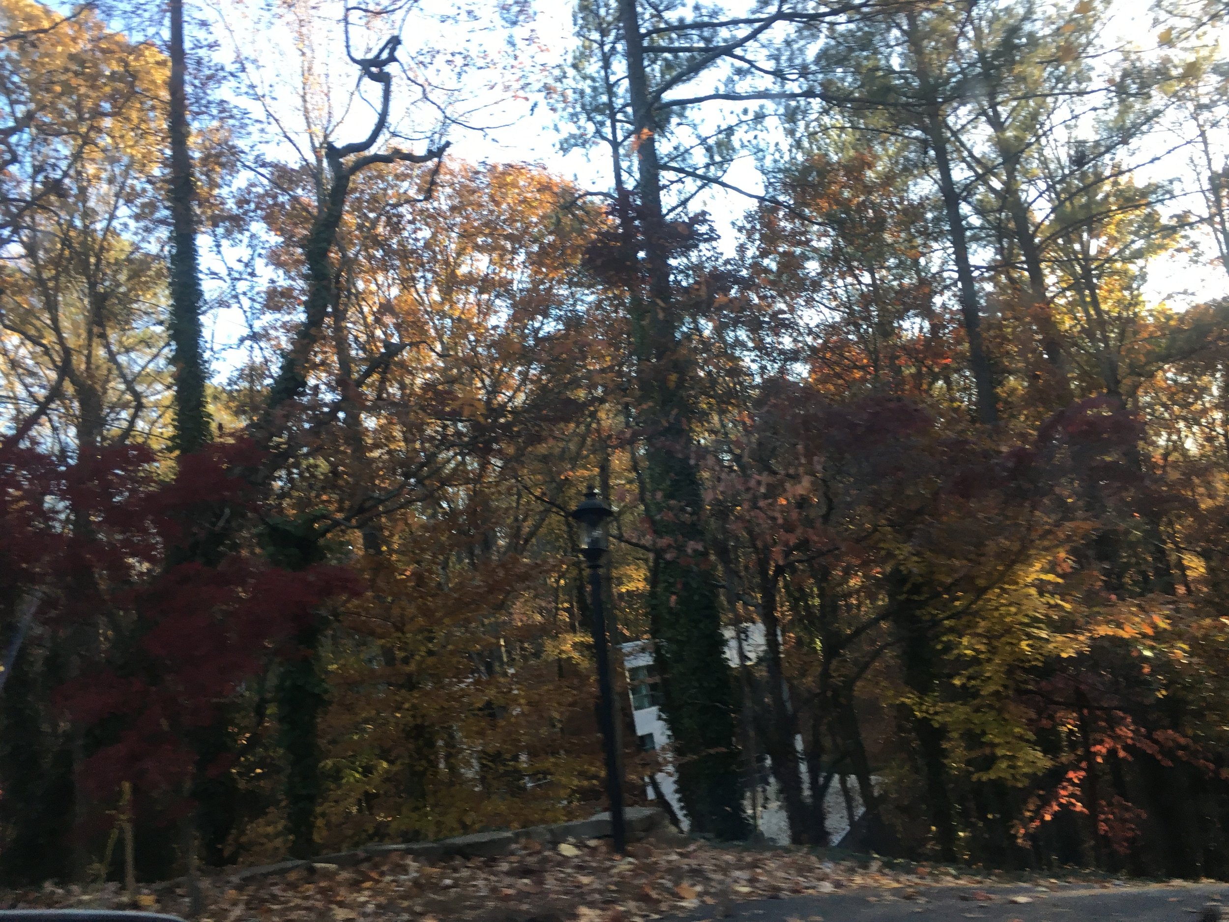 Photo Nov 26, 4 30 17 PM.jpg