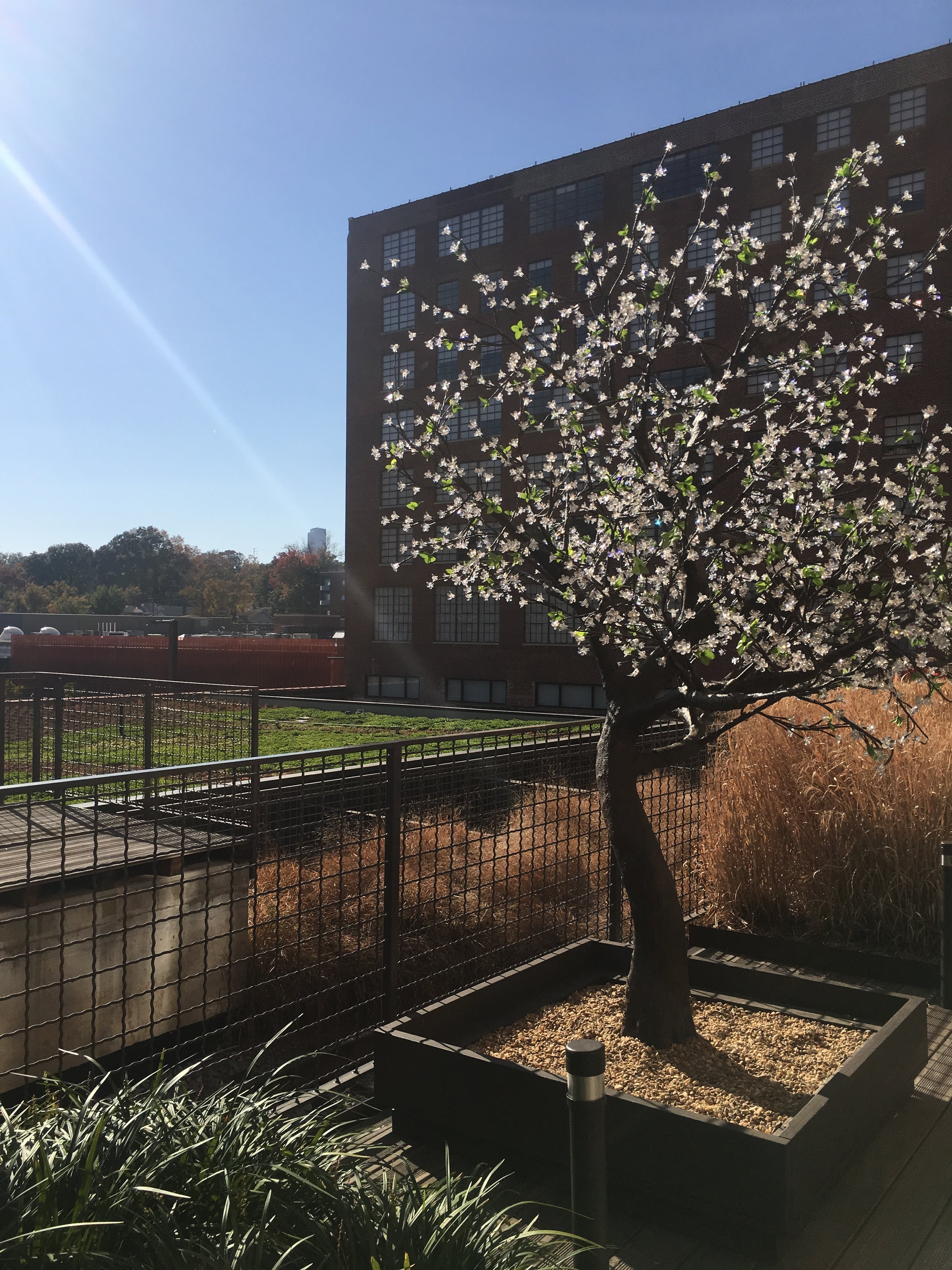 Photo Nov 26, 1 45 30 PM.jpg