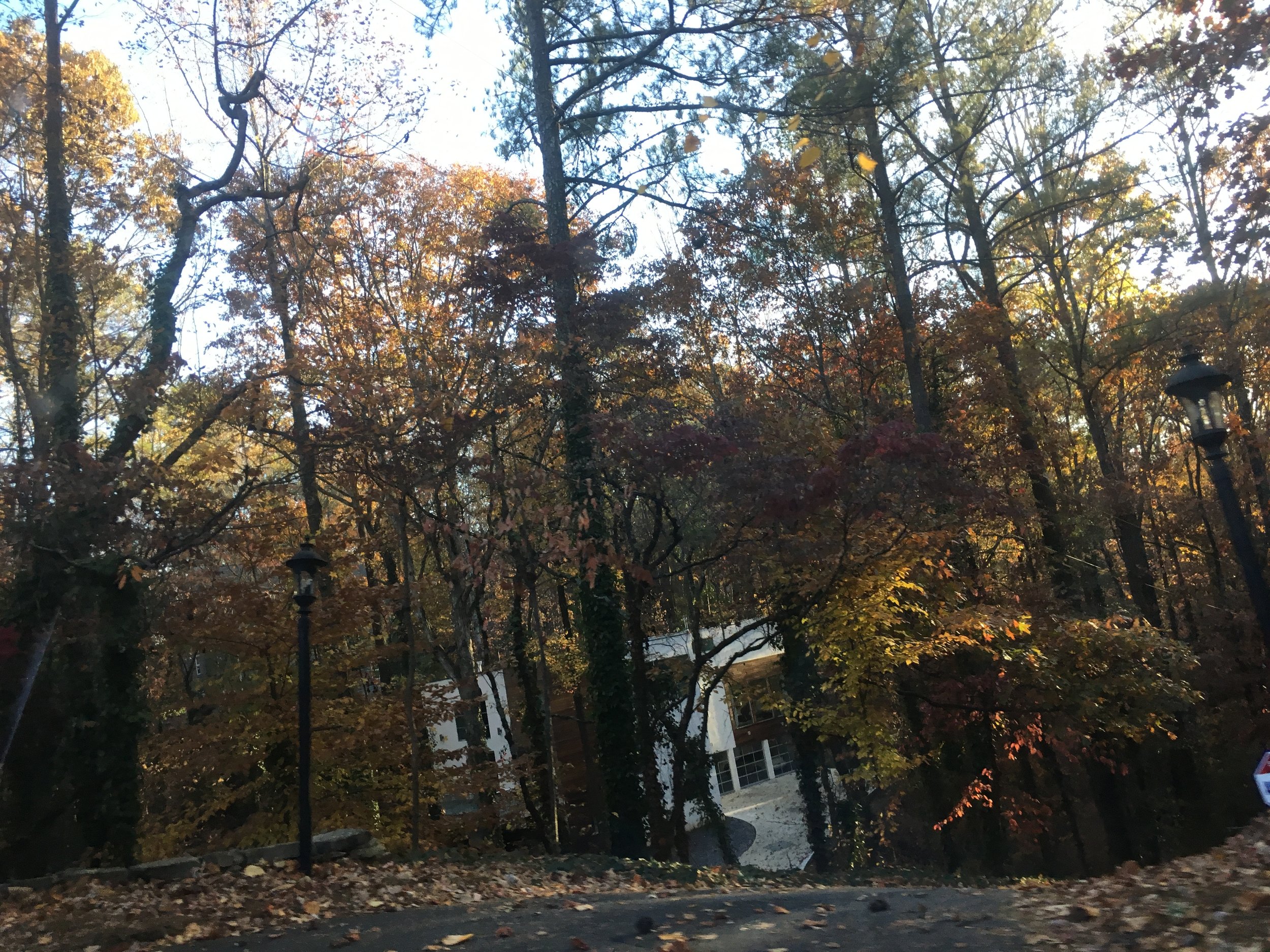 Photo Nov 26, 4 30 16 PM.jpg