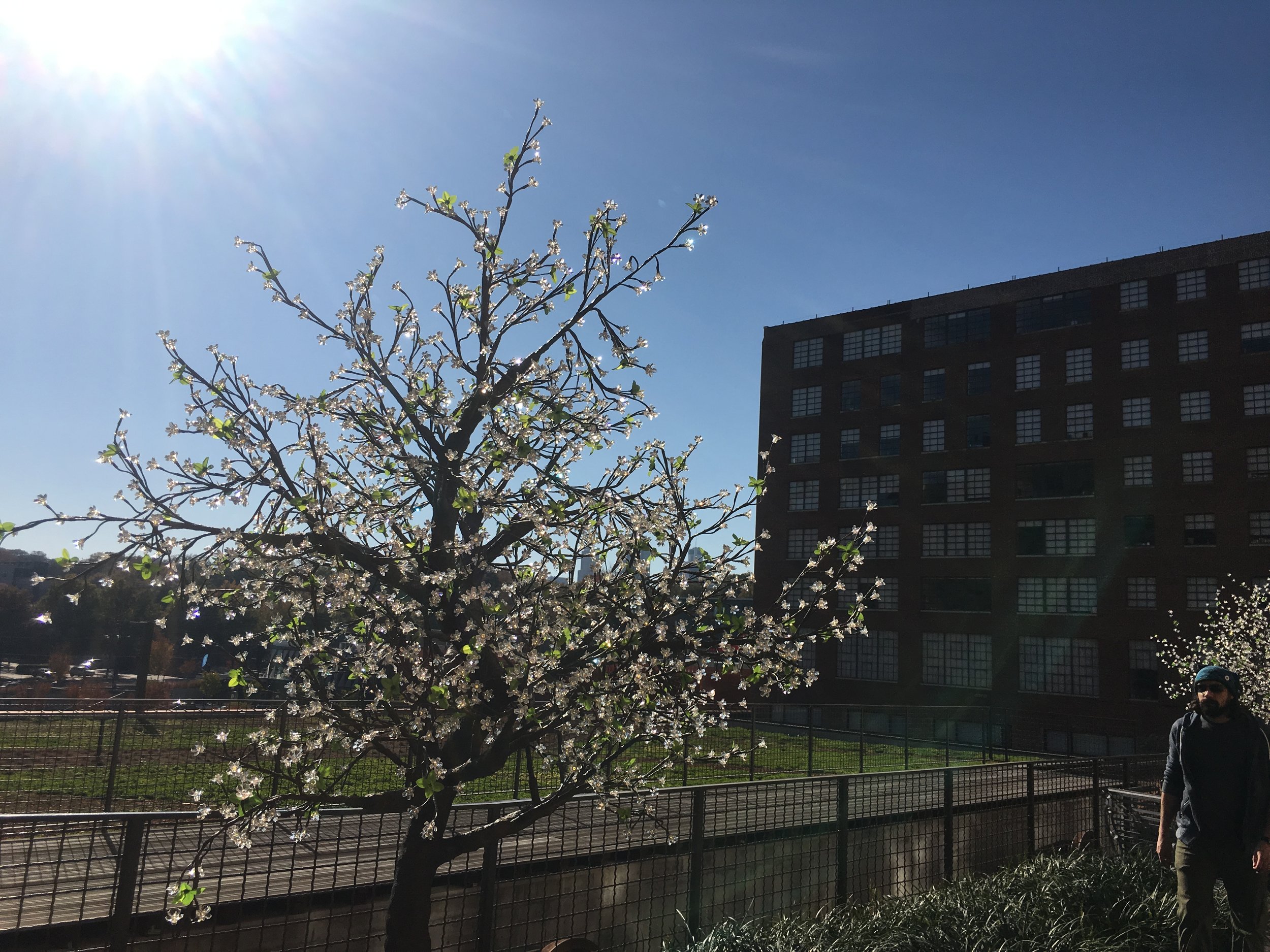 Photo Nov 26, 1 45 14 PM.jpg