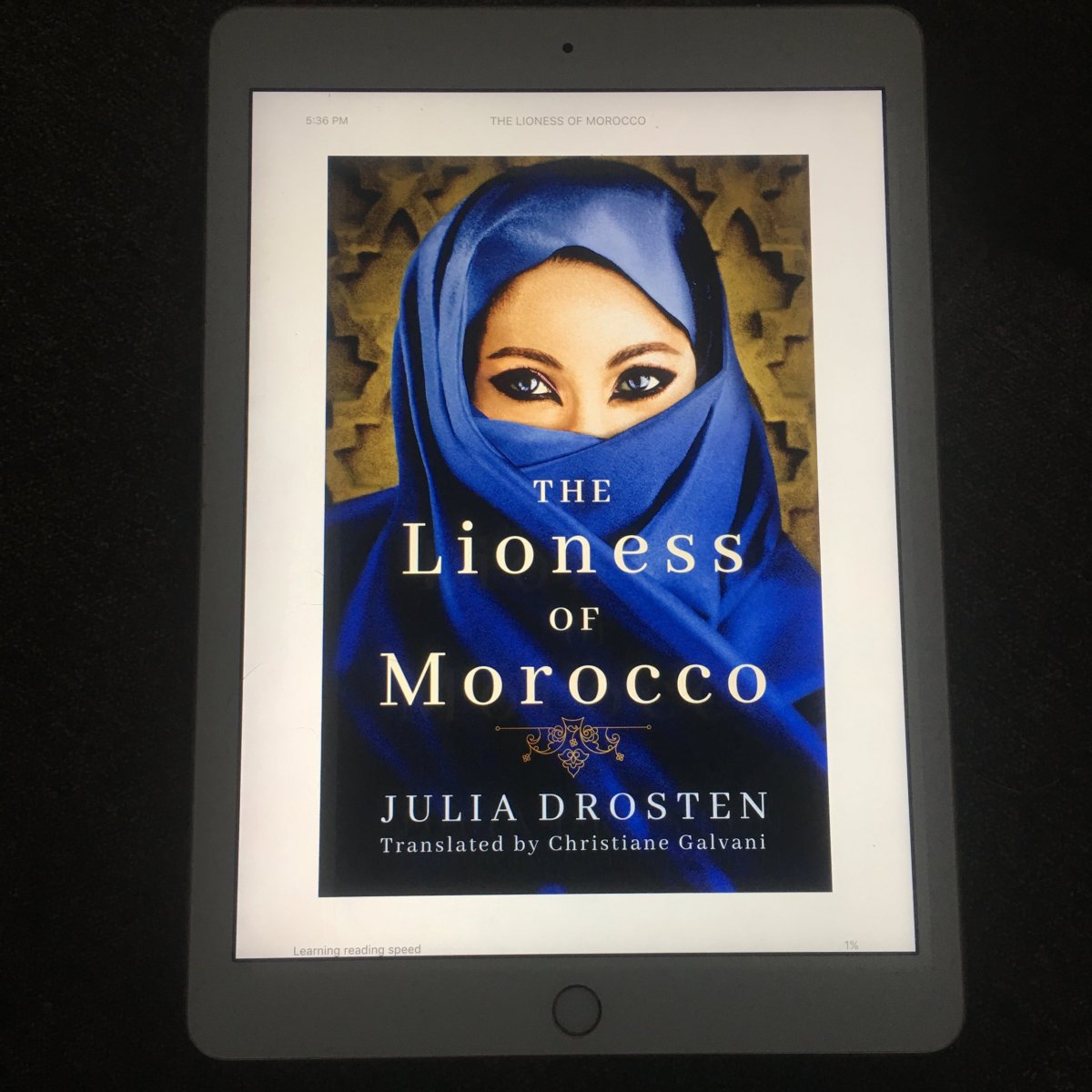 The Lioness of Morocco by Julia&nbsp;Drosten